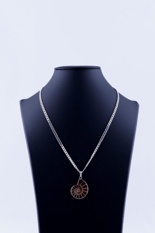 Ammoniet hanger - Image 2